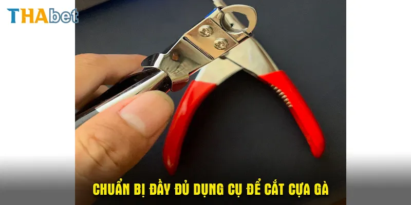 Chuẩn bị đầy đủ dụng cụ để cắt cựa gà