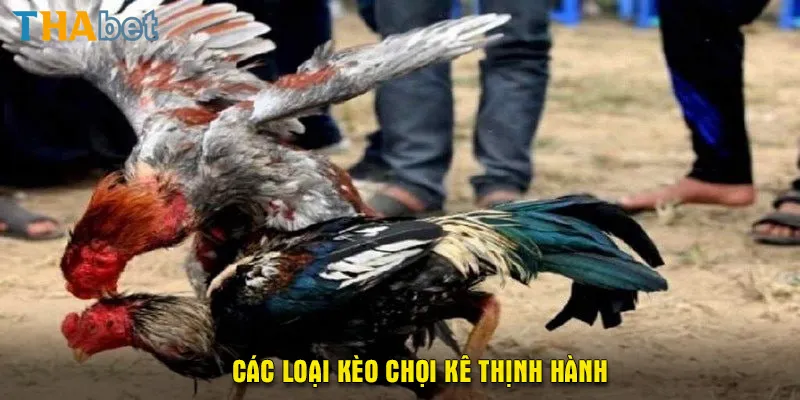 Các loại kèo chọi kê thịnh hành