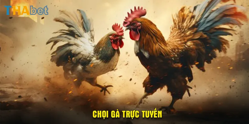 chọi gà trực tuyến