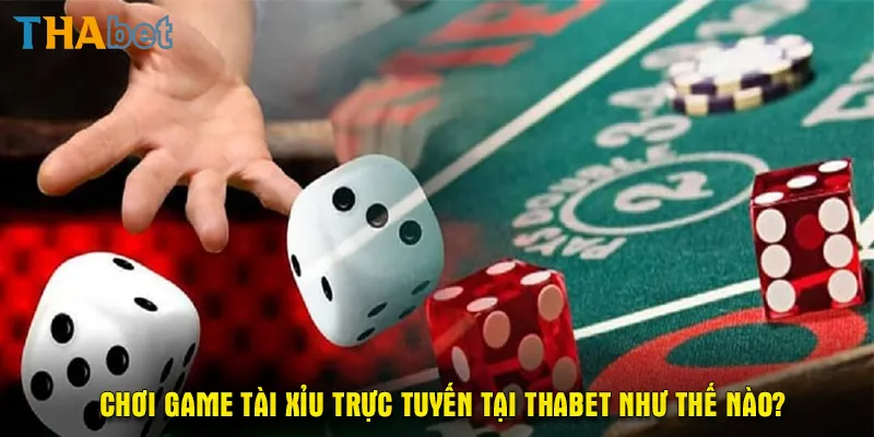 Chơi game tài xỉu trực tuyến tại Thabet như thế nào?