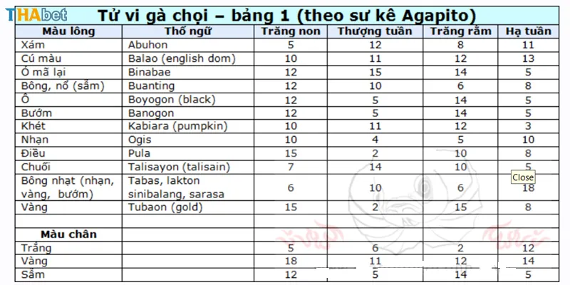 Bảng tử vi của Agapito