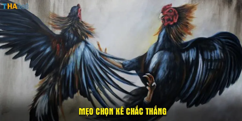 Mẹo chọn kê chắc thắng 