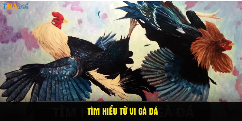 Tìm hiểu tử vi gà đá 